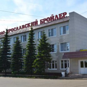 Ярославский бройлер